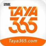 taya365 taya365 Profile Picture