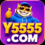 y5555 y5555 Profile Picture