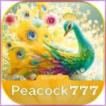 peacock777 peacock777 Profile Picture