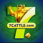 7cattle 7cattle Profile Picture