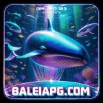 baleiapg baleiapg Profile Picture