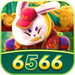 6566 6566 Profile Picture