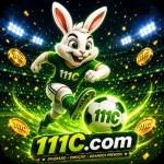 111c 111c Profile Picture