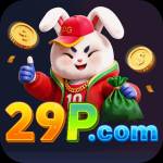 29p 29p Profile Picture