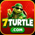 7turtle 7turtle Profile Picture