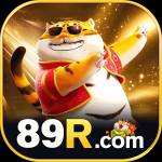 89r 89r Profile Picture