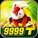 9999t 9999t Profile Picture