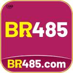 br485 br485 Profile Picture
