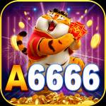 a6666 a6666 Profile Picture