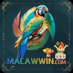 macawwin macawwin Profile Picture