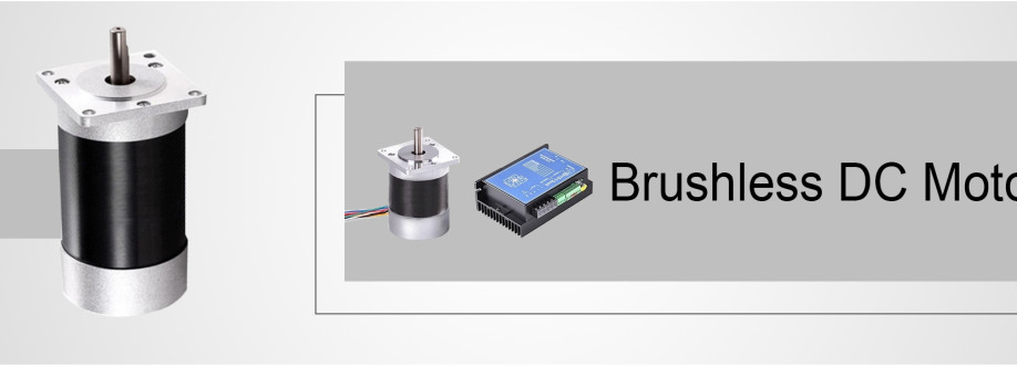 Brushless DC Motors Brushless Inc Cover Image