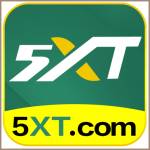 5xt 5xt Profile Picture