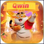 qwin qwin Profile Picture