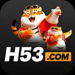 h53 h53 Profile Picture