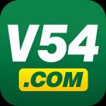 v54 v54 Profile Picture
