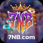 7nb 7nb Profile Picture