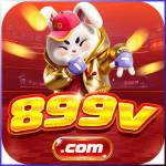 899v 899v Profile Picture