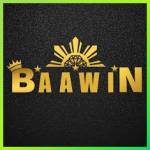 baawin baawin Profile Picture