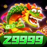z9999 z9999 Profile Picture