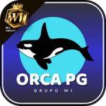 orcapg orcapg Profile Picture