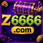 z6666 z6666 Profile Picture