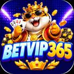 betvip365 betvip365 Profile Picture