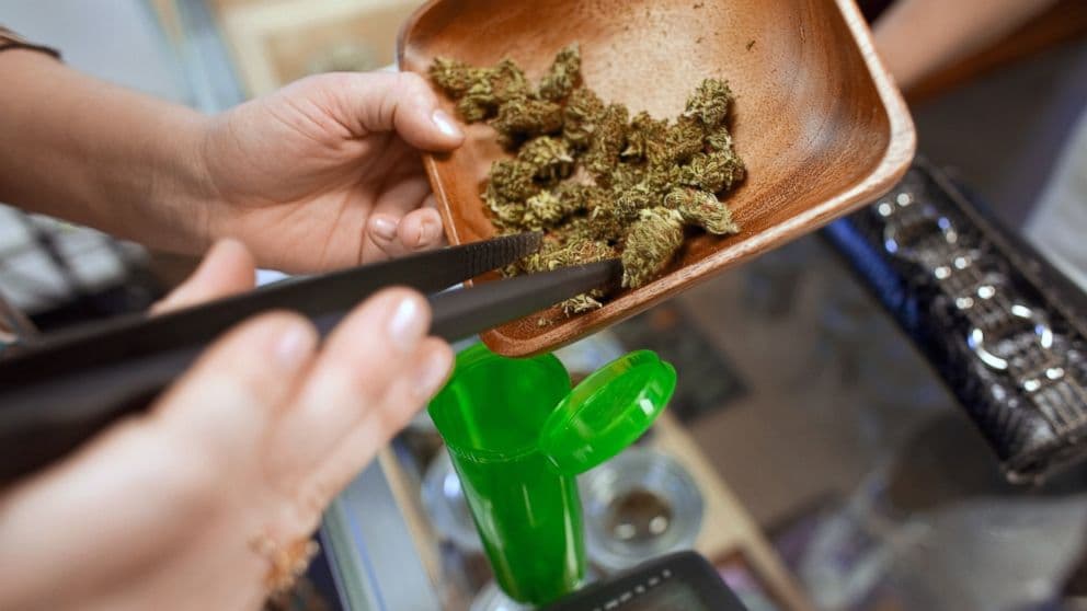 Our Cannabis Delivery Service: Bringing Quality Weed to Your Doorstep - Toke Cannabis
