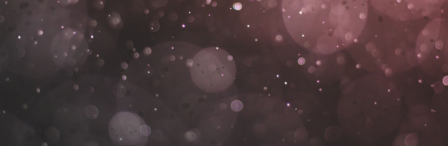 pune dolls Cover Image